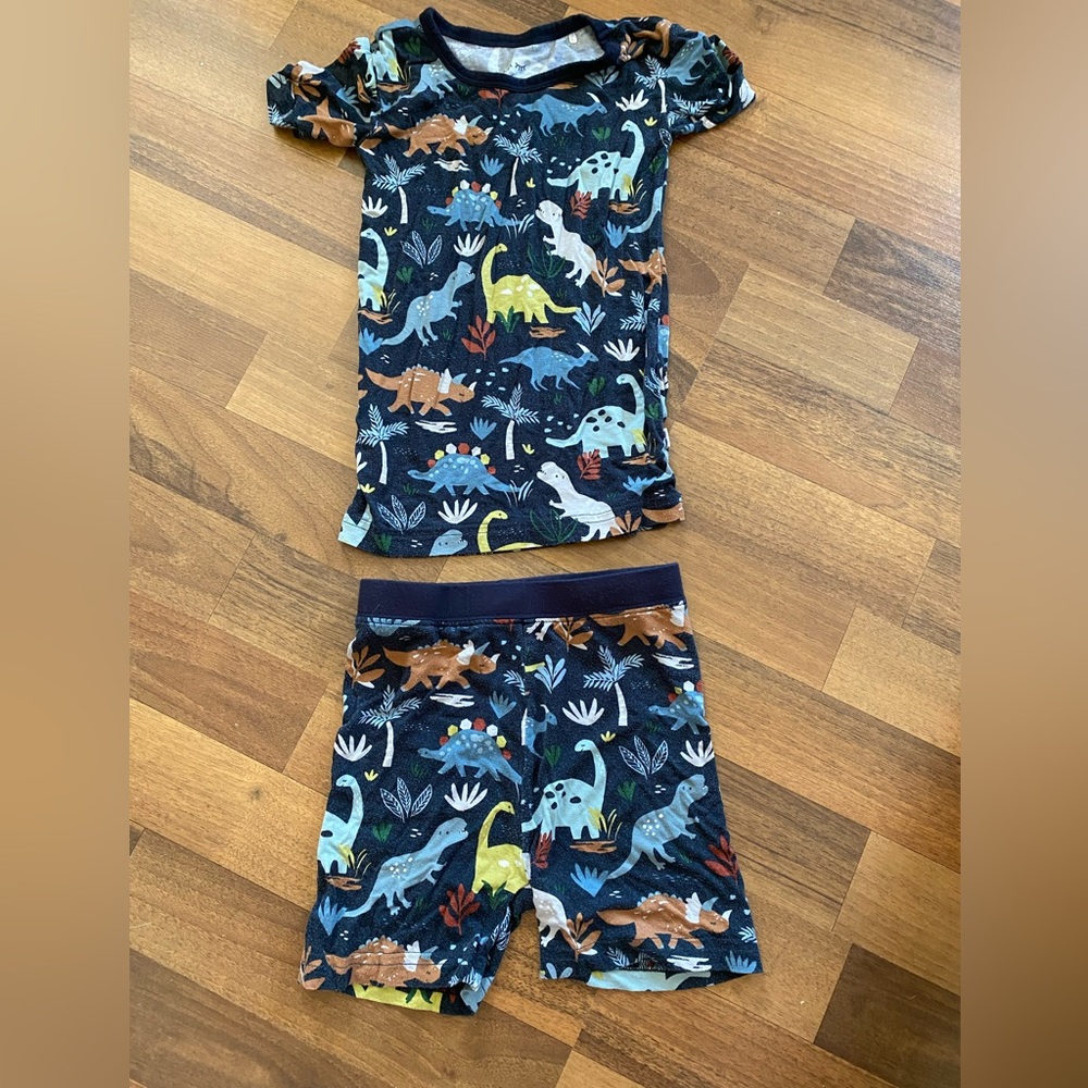 Little Sleepies Blue and Brown Pajama Sets with Dinosaur Print